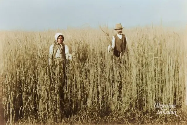 Ukrainian farmers have greatly improved the Paraná region in terms of agro-industry, and this trend continues to this day.