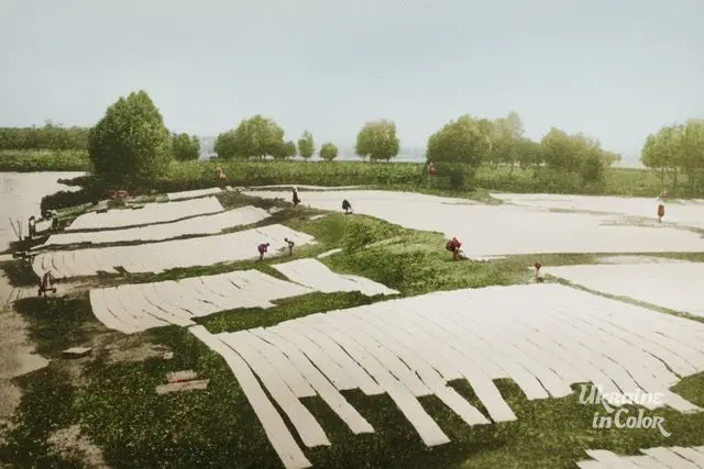 Bleaching canvas near a pond. 1920s. Southern Chernihiv region. P. 35.