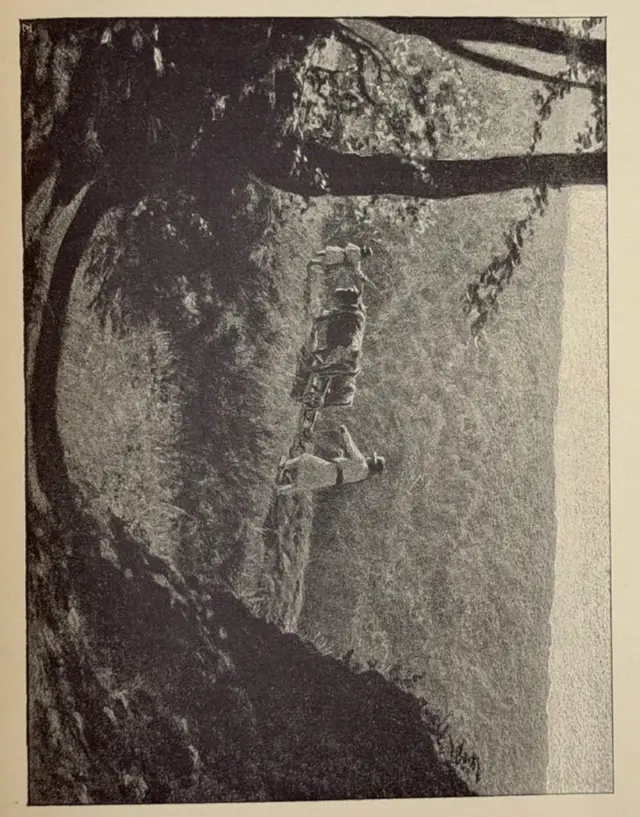 Landscape with a tree (from the Oles Honchar board)